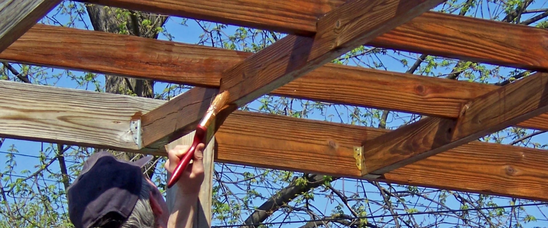 Sustainable Home Improvement: Eco-Friendly Options for Your Next Project